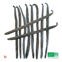 10 Organic Bourbon Vanilla Pods (30 g)