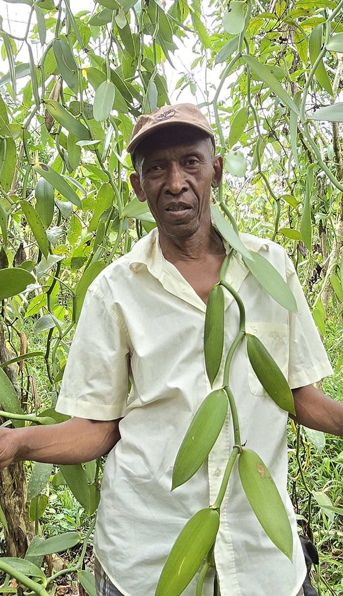 Anicet JERA - Le Responsable des plantations de Vanille LAVANY