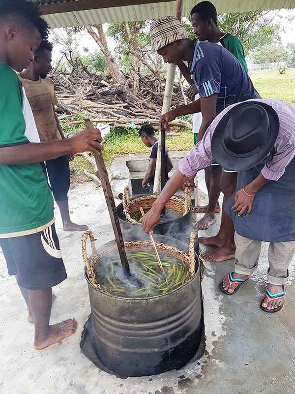 Echaudage des gousses de Vanille LAVANY vertes