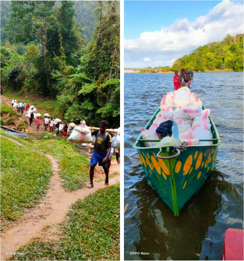 Transport des gousses vertes en montagne à dos d'homme et sur le fleuve Ankavana en pirogue